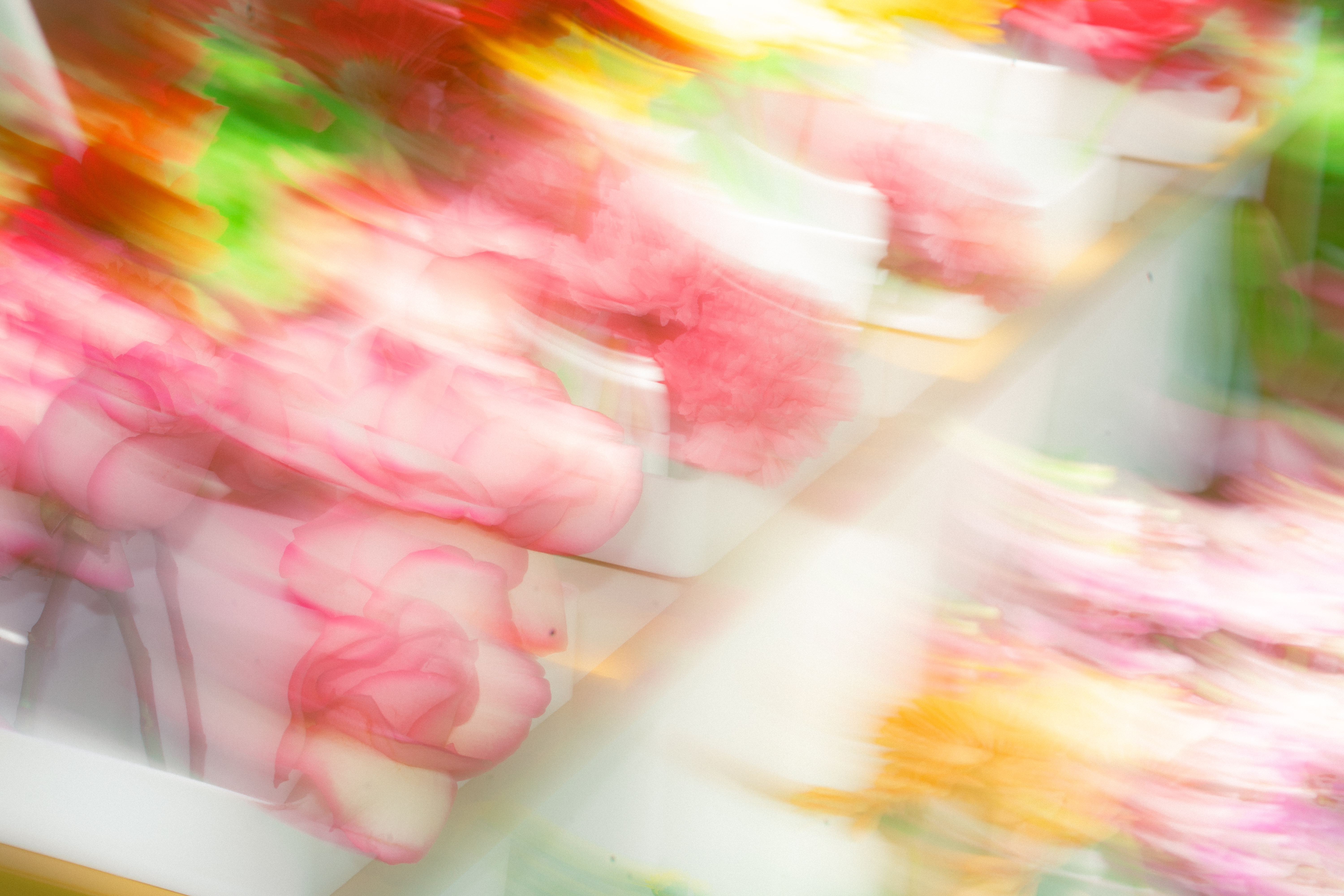 Motion-blur abstract of colorful flowers in white buckets, Haus of Petals